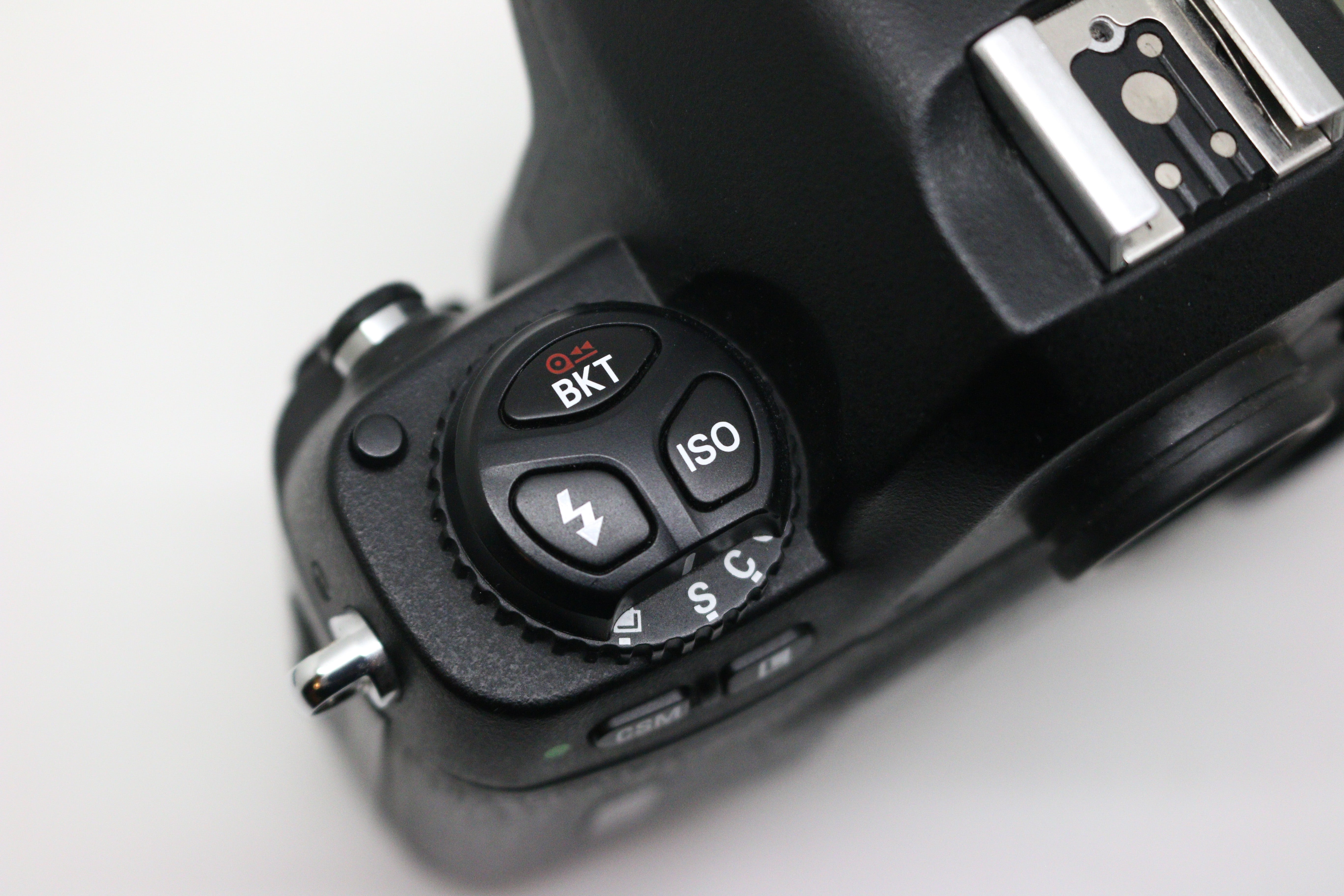 Nikon F100 (w/ MF-29 Back & MS-13 Battery Holder)